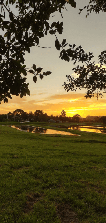 Lago e pôr do sol na área externa da pousada